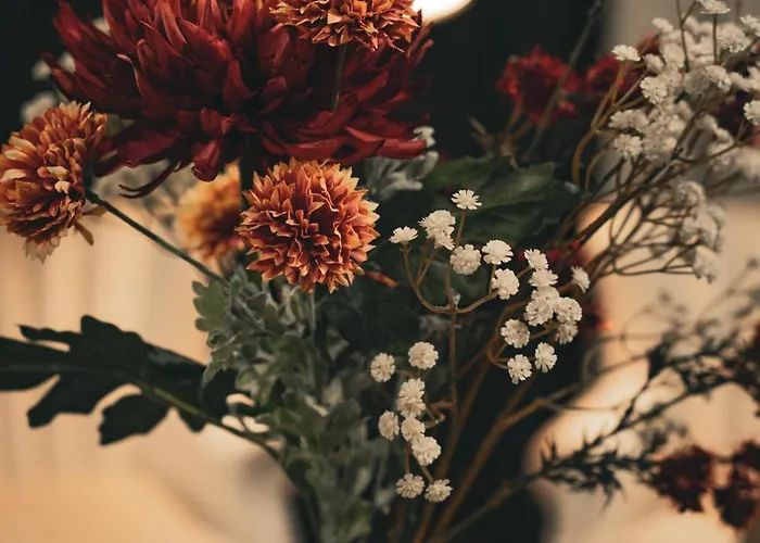 Highland Pod Gubalowka Aparthotel 3*