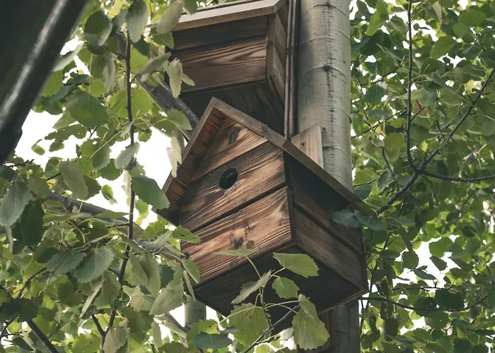 Highland Pod Gubalowka Aparthotel 3*